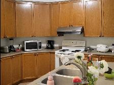 Room for Rent In York Village - Photo 6
