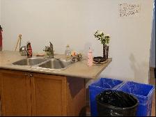 Room for Rent In York Village - Photo 7