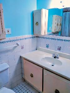 5 1/2 ground floor with 1.5 bathrooms, available October 1st - Photo 8