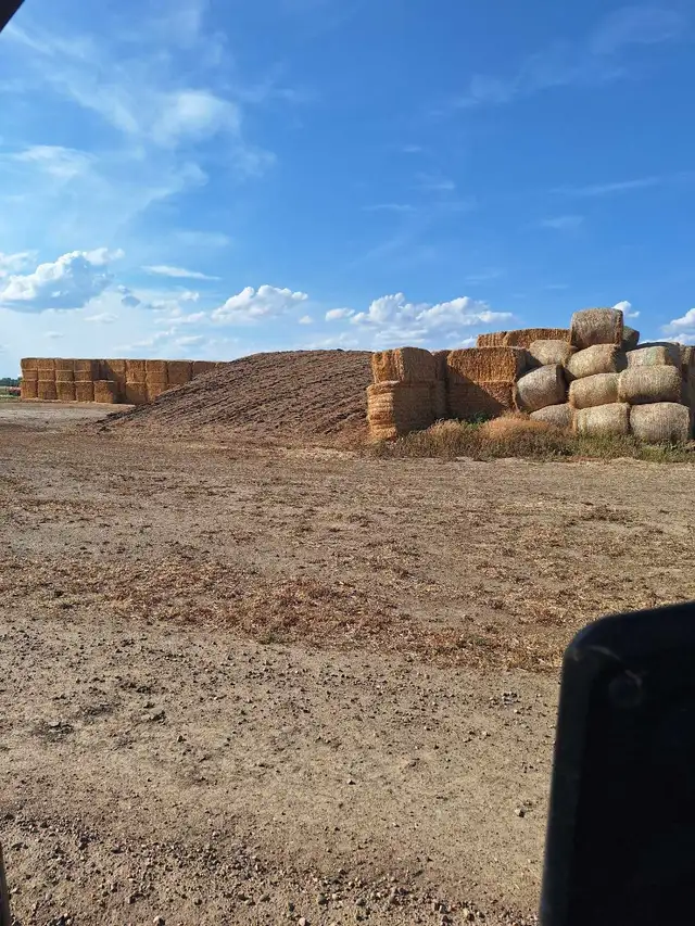 custom winter cattle feeding