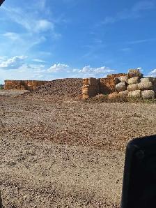 custom winter cattle feeding
