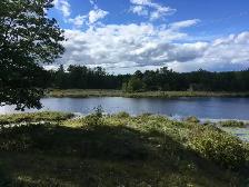 Three Waterfront Properties near Godfrey, ON