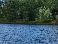Three Waterfront Properties near Godfrey, ON - Photo 3