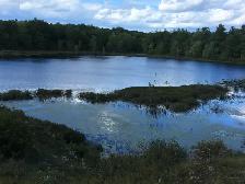 Three Waterfront Properties near Godfrey, ON - Photo 4