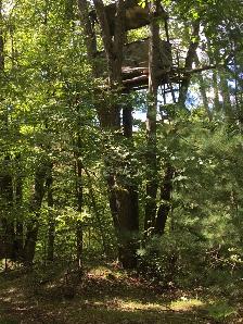 Three Waterfront Properties near Godfrey, ON - Photo 5
