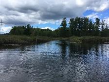 Three Waterfront Properties near Godfrey, ON - Photo 6