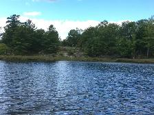 Three Waterfront Properties near Godfrey, ON - Photo 7