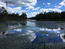Three Waterfront Properties near Godfrey, ON - Photo 8