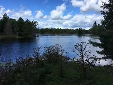 Three Waterfront Properties near Godfrey, ON - Photo 9
