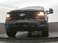 2024 Ford F-150 XLT 4x4 Touchscreen Display, Rearview Camera, 4x - Photo 42