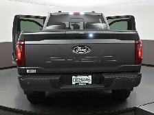 2024 Ford F-150 XLT 4x4 Touchscreen Display, Rearview Camera, 4x - Photo 61