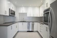 renovated 2 bed 2 bath apartment Downtown - ID 3021