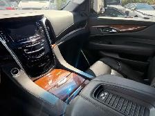 2020 Cadillac Escalade ESV 4WD 4dr Luxury - Photo 19