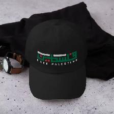 12 Custom Embroidery Hats Baseball Caps $16 each! Free Delivery!