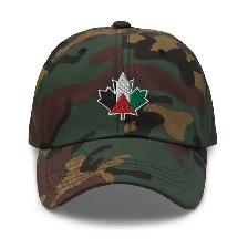 12 Custom Embroidery Hats Baseball Caps $16 each! Free Delivery! - Photo 5