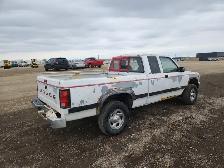 1994 Dodge Dakota - Photo 4