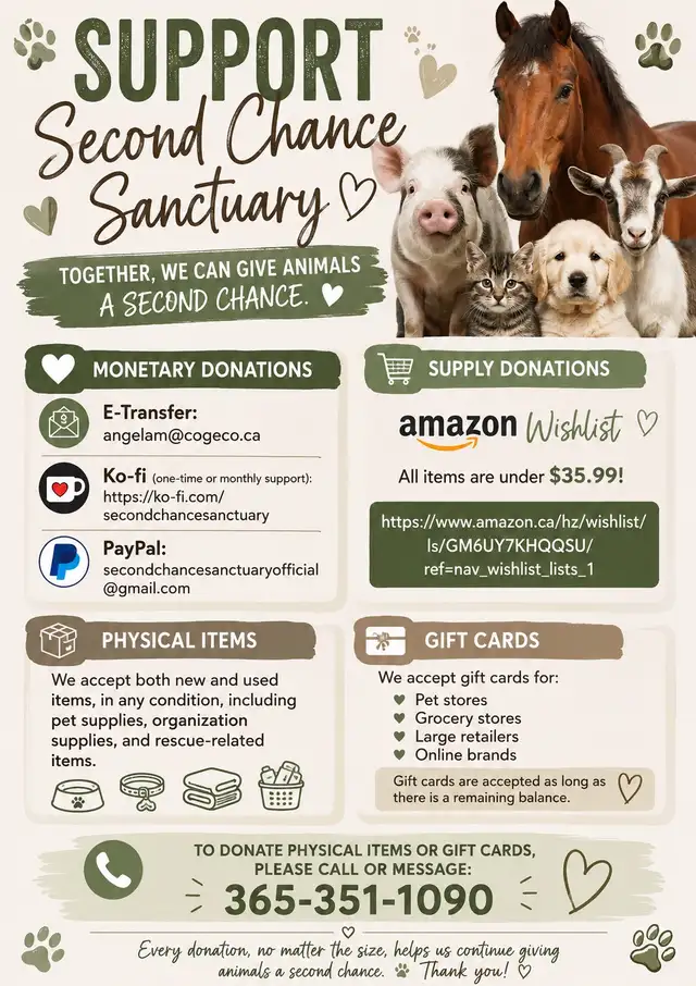 Support Second Chance Sanctuary — Donations & Supplies Needed