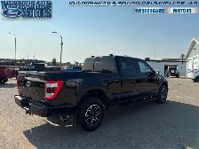 2023 Ford F-150 Lariat - Leather Seats - Cooled Seats - Photo 5