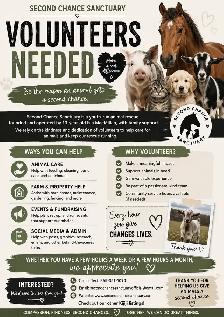 Animal Rescue Volunteers Needed – Second Chance Sanctuary