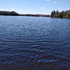 COTTAGE FOR RENT . BLACK LAKE 1000FT WATERFRONT. HALIBURTON .ONT - Photo 4