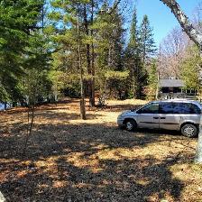 COTTAGE FOR RENT . BLACK LAKE 1000FT WATERFRONT. HALIBURTON .ONT - Photo 7