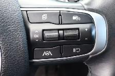 2023 Kia Sportage - Photo 12