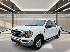 2023 Ford F-150 XLT 4WD SuperCrew 5.5' Box