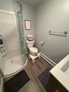 (Utilities   Wifi Included) Basement Apartment - Photo 6