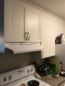 2 Bedroom Apartment for Rent - 885 Craigflower - Photo 3