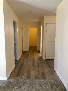 2 Bedroom Apartment for Rent - 885 Craigflower - Photo 6