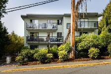 Villa Apartments - 2 Bedroom   Den available at 788-790 Dominion - Photo 10