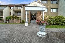 Carlton Park Gardens Apartments - Bachelor available at 10951 Mo - Photo 3