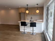 Magnifique 4 1/2, Avenue Plante, Libre, PROMO !