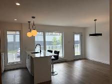 Magnifique 4 1/2, Avenue Plante, Libre, PROMO ! - Photo 3