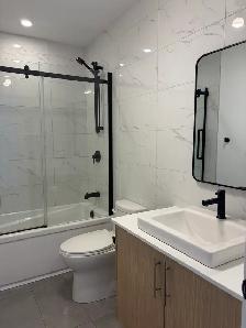 Magnifique 4 1/2, Avenue Plante, Libre, PROMO ! - Photo 6
