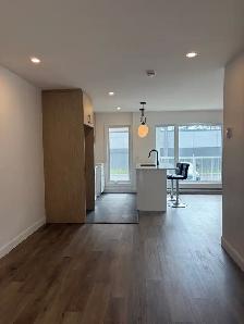 Magnifique 4 1/2, Avenue Plante, Libre, PROMO ! - Photo 9