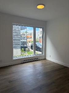 Magnifique 4 1/2, Avenue Plante, Libre, PROMO ! - Photo 12
