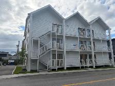 Magnifique 4 1/2, Avenue Plante, Libre, PROMO ! - Photo 14
