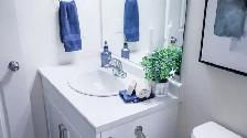 The Boardwalk - 1 Bed - Grace B - Winnipeg - Photo 4