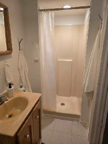 Fully Furnished 1-Bedroom Basement Apartment - Photo 10