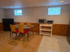 Fully Furnished 1-Bedroom Basement Apartment - Photo 14
