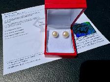 #905 - White Akoya Pearl, 14kt Yellow Gold Studs