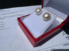 #905 - White Akoya Pearl, 14kt Yellow Gold Studs - Photo 2