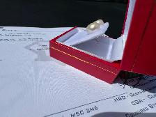 #905 - White Akoya Pearl, 14kt Yellow Gold Studs - Photo 3