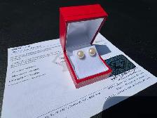 #905 - White Akoya Pearl, 14kt Yellow Gold Studs - Photo 7