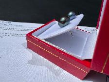 #906 - Blue Akoya Pearl, 14kt Yellow Gold Earrings - Photo 2