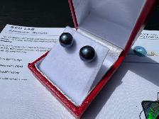 #906 - Blue Akoya Pearl, 14kt Yellow Gold Earrings - Photo 3