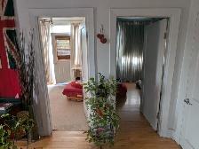 Room for woman - Montreal NDG, Villa Maria Metro $800 / all incl - Photo 7