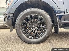 2024 Ford F-150 XLT - Photo 7