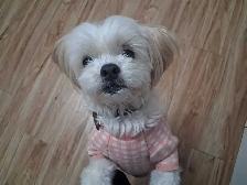 Trusted Care House & Pet Sitting